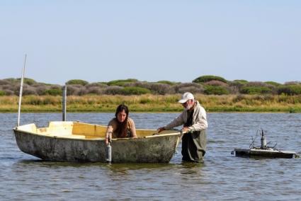 Huelva.- Doñana en 2024 fue "seca y calurosa" y registra "un nuevo mínimo histórico" en poblaciones de aves acuáticas