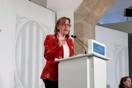 Paneque pide apoyar el Pacte Nacional per la Llengua y no mezclarlo con "consideraciones políticas"