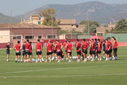 La Policía investiga varios robos en el campo de entrenamiento del Mallorca