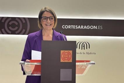 El PSOE rechaza "la falta de lealtad" de Susín por no comunicar al Gobierno de España el número de menores acogidos