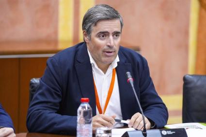 El secretario general de la Unión de Pequeños Agricultores de Andalucía (UPA), Cristóbal Cano, en comisión parlamentaria el 18 d
