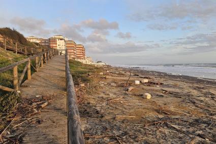 Huelva.- Almonte exige al Gobierno central medidas "inmediatas" tras los "graves" daños en la costa de Matalascañas