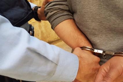 Los Mossos detienen a un hombre por robar en un almacén agrícola de Vilanova de Segrià (Lleida)