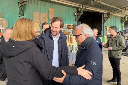 Giménez Larraz (PP) dice que "no existe un problema real con el bienestar animal en el transporte"