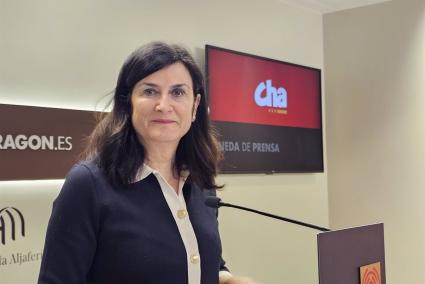 CHA promueve que se impida trabajar con menores a quienes cuenten con antecedentes por maltrato familiar