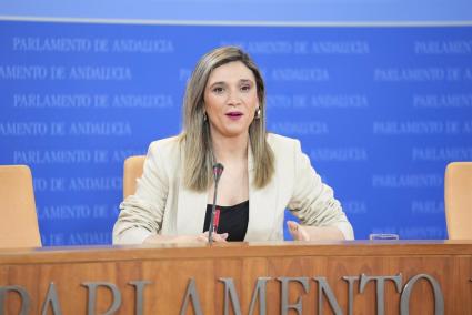 PSOE-A censura la "crítica por la crítica" del PP ante el anuncio de Junts por ayudas que también "llegarán" a Andalucía