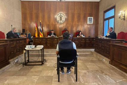 Condenado a dos años de cárcel y a pagar 9.500 euros por una oleada de robos en Mallorca