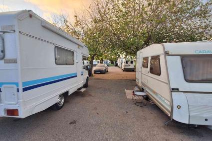 El Ayuntamiento de Palma da marcha atrás y no multará por vivir en caravanas mientras no genere molestias
