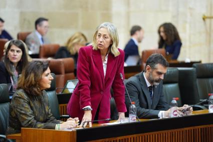 Consejera de Salud reclama "dejar de politizar" la sanidad para evitar "el desencanto" de los andaluces