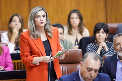 PSOE-A pregunta a Moreno si "habla" y tiene "una estrategia" con los "cuatro imputados del PP" por contratos del SAS