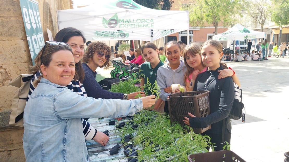 Energy Ariya Challenge