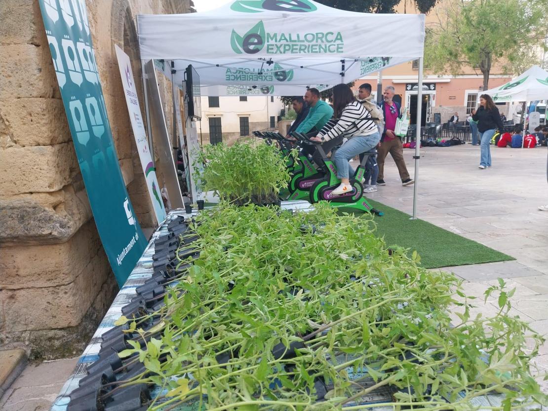 Energy Ariya Challenge