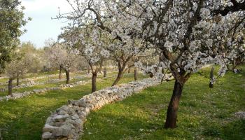 eMallorca Experience