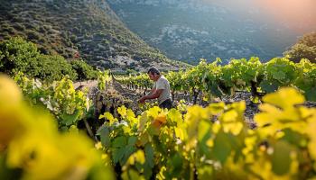 emallorca experience productos cercania