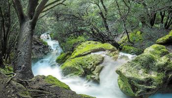 eMallorca Experience