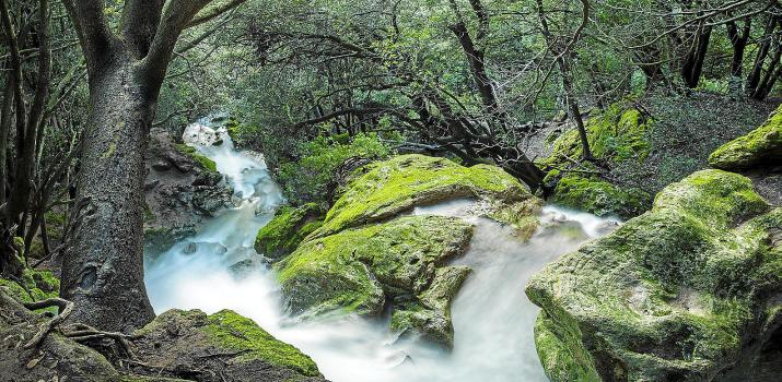 eMallorca Experience