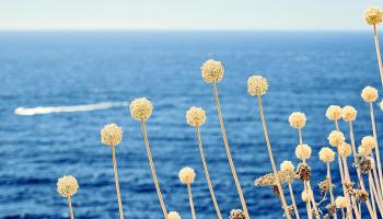 eMallorca Experience