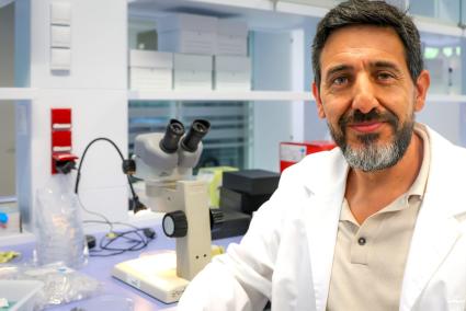 Miguel Ángel Miranda, catedrático de Zoología: «Todas las garrapatas son potencialmente peligrosas y este año hay más en Mallorca»