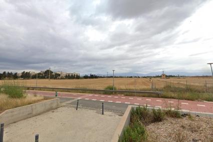 Terrenos en la zona de Son Llàtzer para el futuro recinto ferial de Palma.