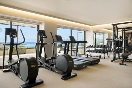 El gimnasio incluye zonas interiores y exteriores.