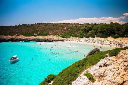 Cala varques