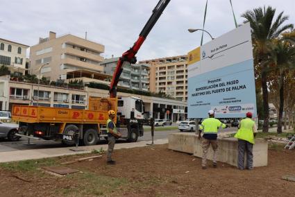 Comienzo de las obras del Paseo Marítimo de Palma