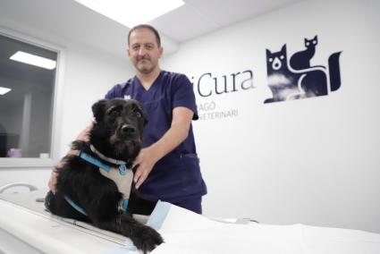 Guillem Riera, veterinario clínico.