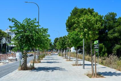 Avanza la segunda fase del corredor verde entre Platja de Palma y Es Pil·larí