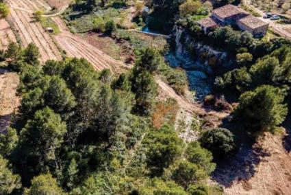 La ACA impulsa la recuperación ambiental de las terrazas fluviales del río Gaià (Tarragona)