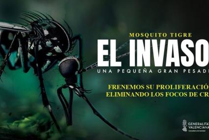 Sanidad aconseja evitar acúmulos de agua en recipientes para impedir la proliferación del mosquito tigre en la Comunitat