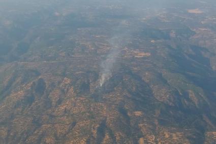 Incendio forestal en la zona de Arroyo Molino Alto.