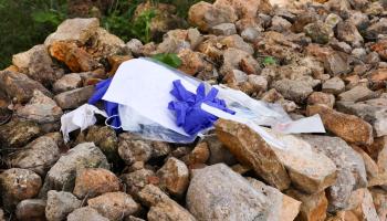 «Si no llega a ser porque estábamos fuera y la oímos, la hubiésemos encontrado muerta en el coche»