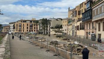 La plaza Lloren&ccedil; Villalonga tras la tala.