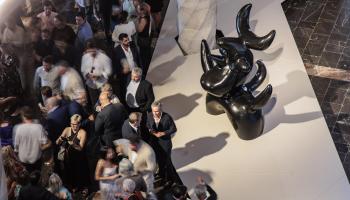 &lsquo;Oiseau Lunaire&rsquo;