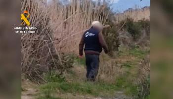 Detenido por provocar incendios en s'Albufera
