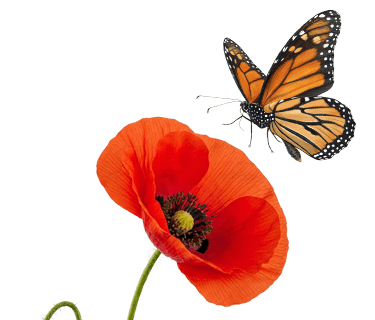 Suscríbete a lo que te importa