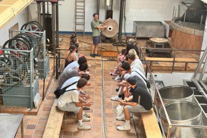 Productos que transmiten la esencia de la Serra de Tramuntana