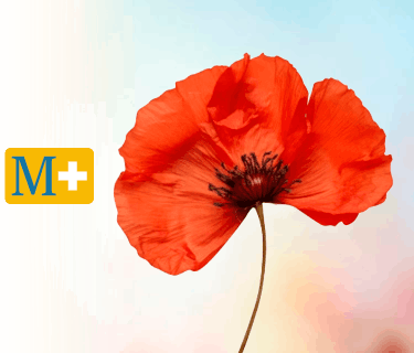 Porque te interesa Menorca