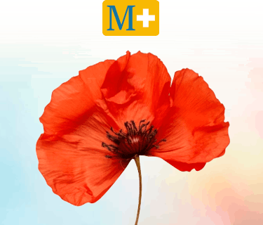 Porque te interesa Menorca