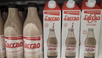 El Govern abre dos expedientes a Damm por vincular Laccao y Mallorca