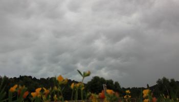 Domingo de invierno en Mallorca: desplome térmico, lluvias y viento