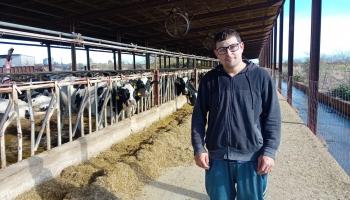 Giro radical en el sector lácteo de Mallorca: Son Carbó tomará el control de Grimalt y aglutinará las siete vaquerías de la Isla