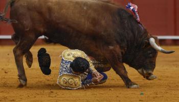 Las impactantes imágenes de la cogida a Morante de la Puebla