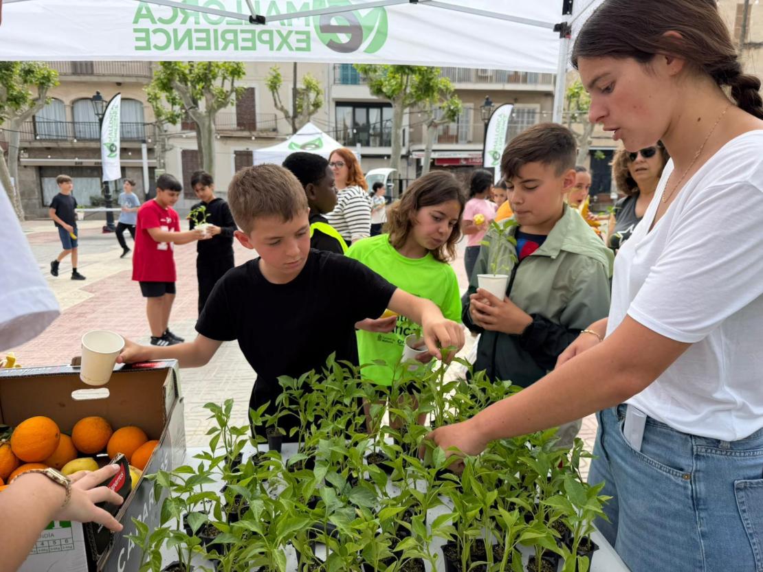 Placeholder-wide