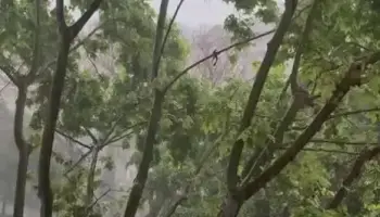 El tiempo en Mallorca