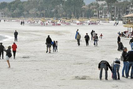 Playa de Alcúdia