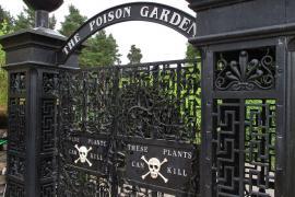 Jardín venenoso, ideal para Halloween