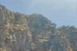Salto mortal en las Islas Malgrats: La mujer del fallecido filmó el momento