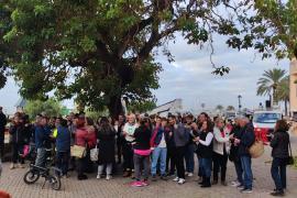 La presión vecinal paraliza la tala de los bellasombra de la plaza Llorenç Villalonga