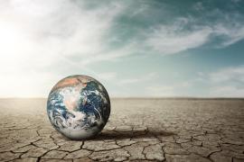 eMallorca Experience